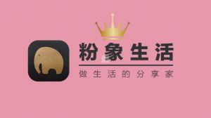 粉象生活“负面缠身”：被指涉嫌传销 合作伙伴东升伟业忙“甩锅”