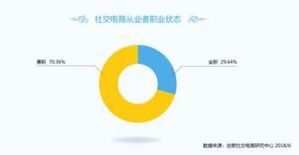 社交电商就业新趋势