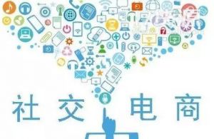 发展潜力巨大 社交电商购物用户达5亿