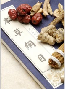 隆力奇：从古代李时珍的“本草纲目”记载到现代高科技“纳米超临界萃取