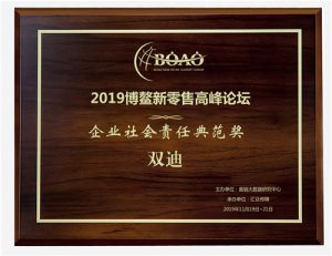 大连双迪荣获博鳌论坛“企业社会责任典范奖”
