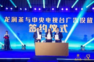 理想科技：“2019龙润茶匠心十五年品牌与发展峰会”在三亚举行，推动龙润茶大发展​