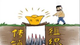 组织领导传销活动10名“老总”获刑