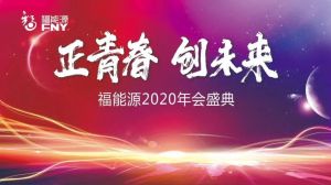 正青春·创未来——福能源2020年会盛典精彩回顾</a>