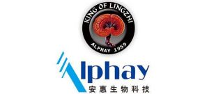 安惠召开2020班组长以上管理人员第一次空中会议