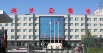 山西瑞芝生物董事长曾涉嫌传销被追逃：为何半年后选为人大代表?