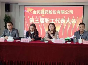 金诃藏药第三届职工代表大会顺利召开</a>