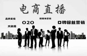 电商直播是内需大循环建设重要力量