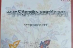 金诃：藏医药学如何解读新型冠状病毒肺炎</a>