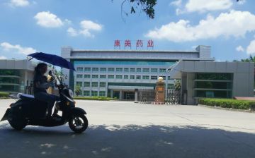风暴后康美遗局：“消失”的项目与蹊跷的营收