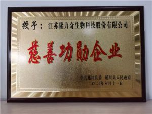 中共延川县委授予隆力奇“慈善功勋企业”称号</a>