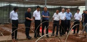 助力企业提升发展宁德市委书记郭锡文一行赴安发生物考察调研</a>