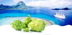 大溪地母公司新世纪宣布合并爱睿希等五家公司</a>