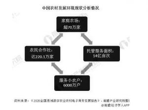 2020年中国农村电商行业发展现状分析县域网络零售额突破3万亿元</a>
