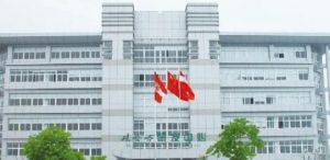 娃哈哈大健康电商玩法指南</a>