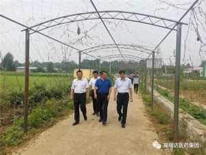 福瑞达贾庆文带队考察山东中药现代化科技产业示范基地</a>