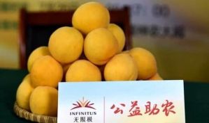 黄桃熟了、爱心浓了 无限极开启公益直播为果农带货</a>