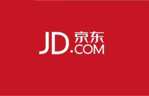 电商零售巨头搭建线下联盟 京东摘下五星电器意欲何为？</a>