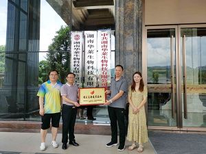 湖南华莱获评“国家高新技术企业”</a>