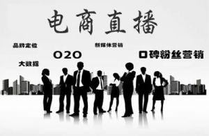 上半年全国电商直播超千万场 网上“剁手”破5万亿，同比增长7．3％</a>
