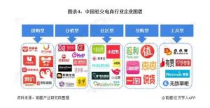 2020年中国社交电商行业市场发展现状分析</a>