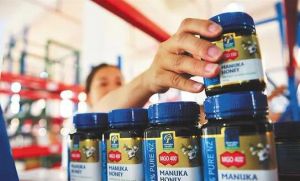 提升营养保健食品行业的服务营销水平，线上展示、线下服务缺一不可</a>