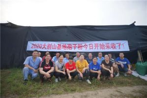 康美来灵芝基地今日采收孢子粉</a>