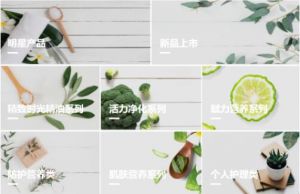 大健康潮流下营养品热销,揭秘自然阳光选择优质产品重塑美好生活</a>