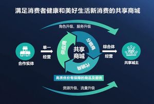 三大核心赋能 金天合纵招全球品牌公司合伙人