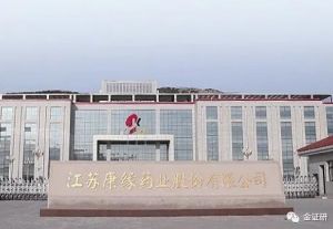 康缘药业：股东“忙”质押 营收净利“双降”销售未达预期</a>