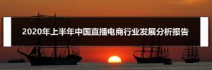 2020年上半年中国直播电商行业发展分析报告
