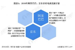 2020年中国农村电商市场发展现状分析多业态共同发展</a>