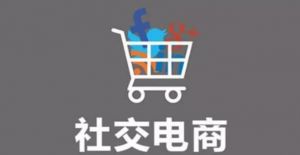 倒闭、转型、匿迹：2020年社交电商已死？</a>