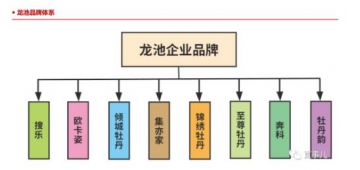 龙池牡丹产品或涉夸大宣传 旗下电子商城被投诉用“金字塔模式“发展会员</a>