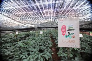 无限极打造药材生态圈： “仙草”助农收入增五倍</a>