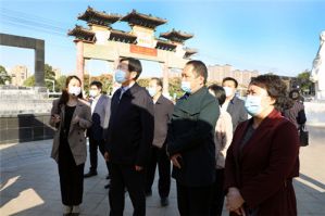文化和旅游部副部长张旭考察康美（亳州）中药城</a>