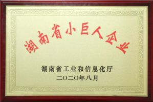 绿之韵集团获评2020年“湖南省小巨人企业”</a>