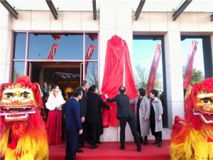 金科伟业（中国）有限公司沧州展厅隆重开业