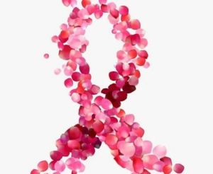 Plexus 环球发起首次全球慈善活动 为乳癌组织筹集善款15.4万美元</a>