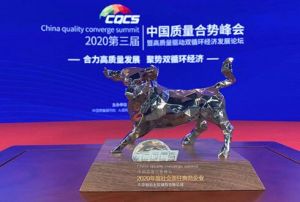 和治友德2020中国质量合势峰会社会责任典范企业</a>