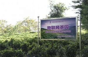 理想科技：龙润百家姓茶登陆央视，敬呈“您的专属定制茶礼”