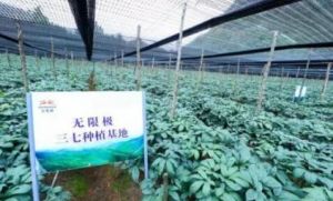 无限极产品：严苛的质量管理 透明化的生产过程