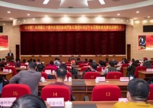 “辽宁省全民大健康产业示范基地”落户双迪