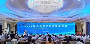 重磅！绿叶荣登“2020江苏民营企业200强”</a>