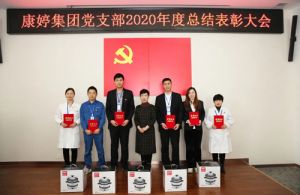 康婷集团党支部召开2020年度总结表彰大会</a>