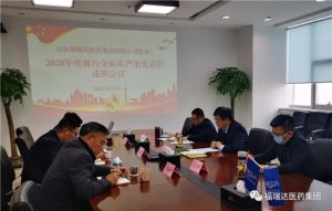 福瑞达召开2020年度履行全面从严治党责任述职汇报