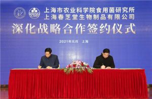 春芝堂与上海农科院食用菌研究所签署《深化战略合作协议》</a>