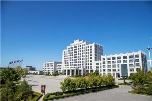 头顶有星空，内心有准则：看双迪是如何为“消费”护航的？