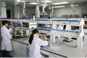 康婷热搜：这个科技赋能可得要知晓