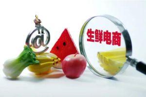 资本持续加码，生鲜电商市场大局已定？</a>